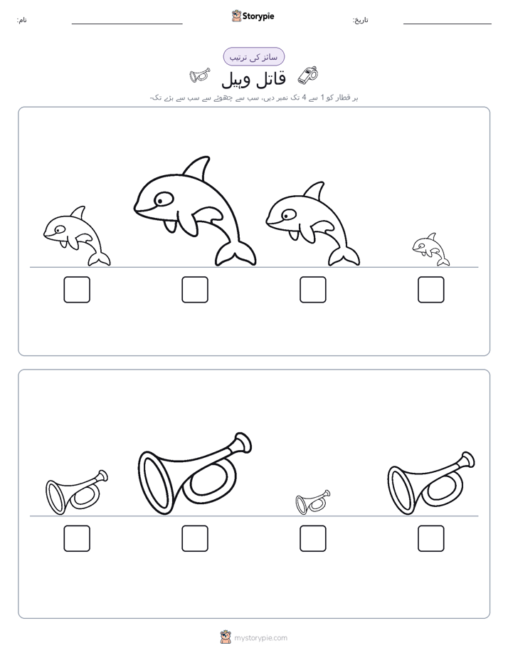 سائز کی ترتیب