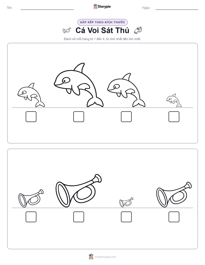 Thứ Tự Kích Thước