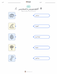 ورقة عمل قابلة للطباعة أنكيلوصوروس ماجنيفنتريس للأطفال