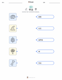 大肚甲龙 可打印工作表，适合儿童
