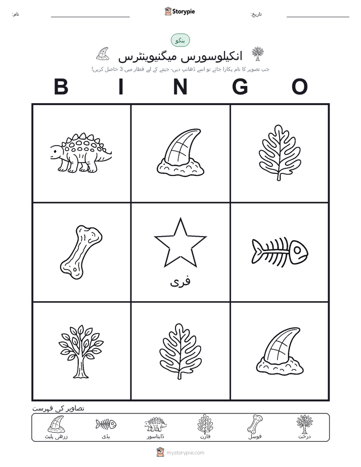 تصویری بنگو