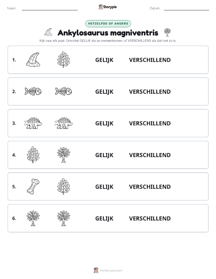 Zelfde of Verschillend