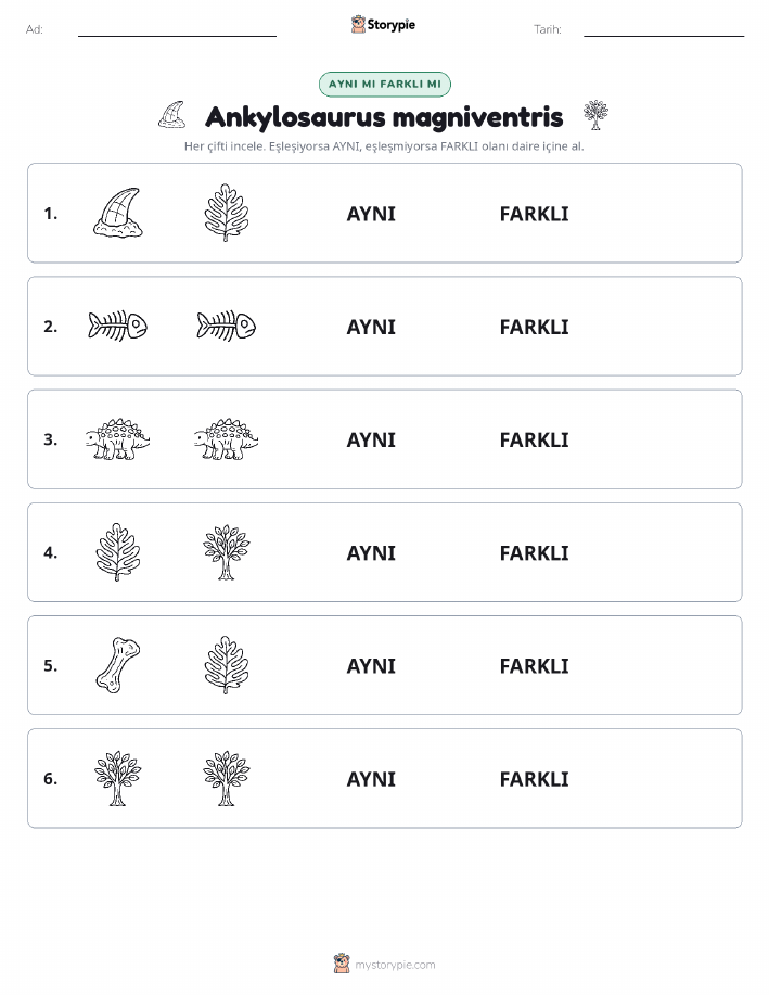 Aynı mı Farklı mı
