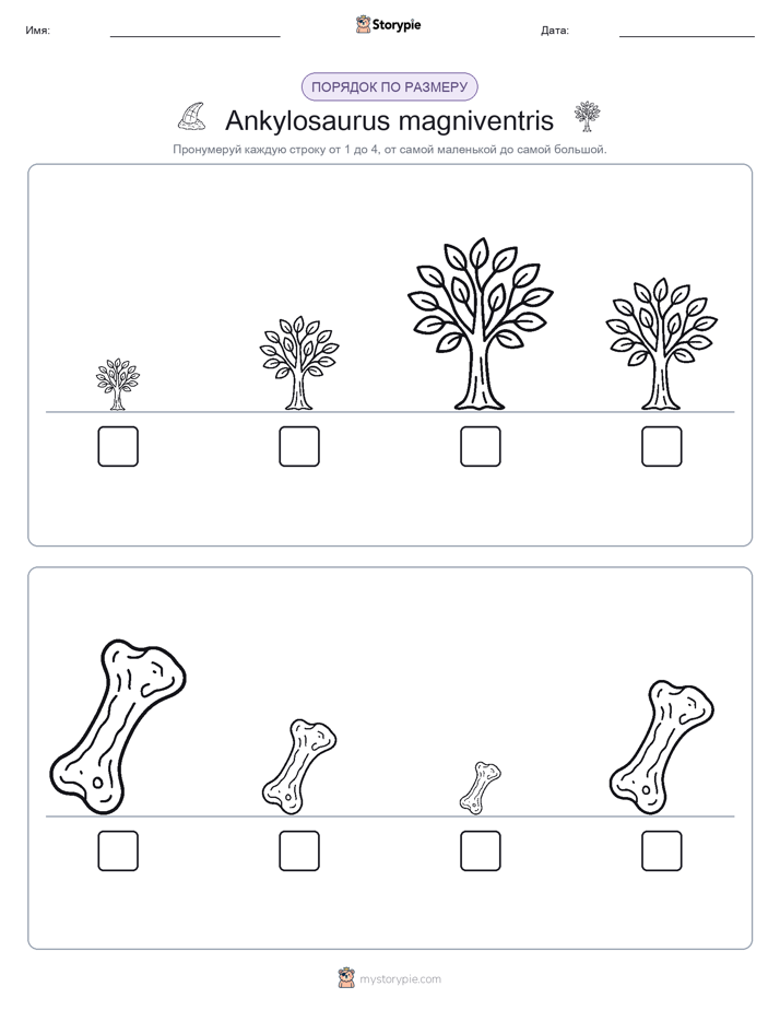 Размеры в порядке