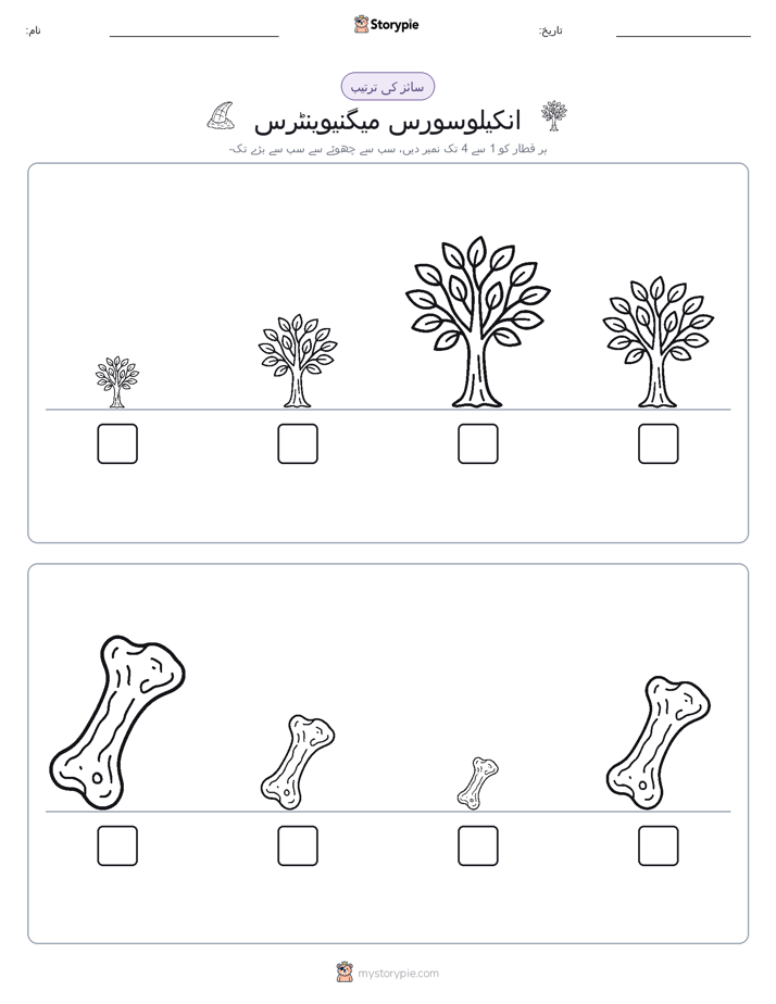 سائز کی ترتیب
