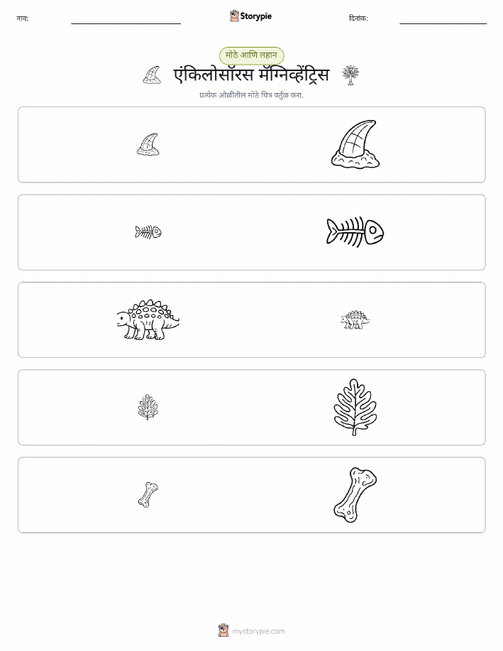 वर्गीकरण