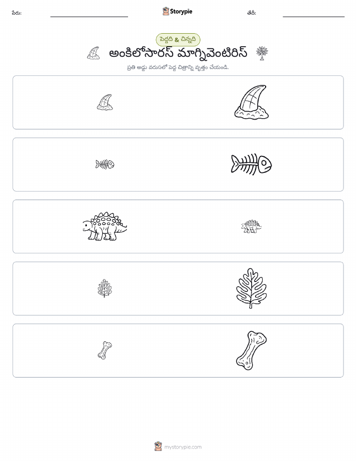 వర్గీకరణ