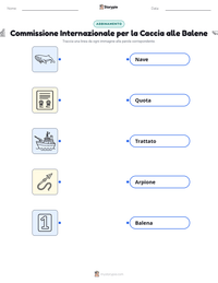 Anteprima della scheda stampabile di Commissione Internazionale per la Caccia alle Balene