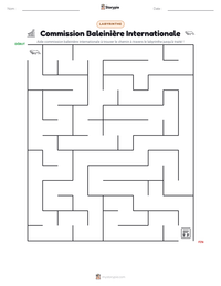 Aperçu de la feuille de travail imprimable Commission Baleinière Internationale