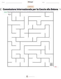 Anteprima della scheda stampabile di Commissione Internazionale per la Caccia alle Balene