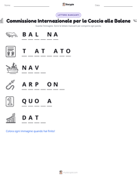 Anteprima della scheda stampabile di Commissione Internazionale per la Caccia alle Balene