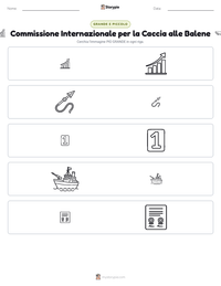 Anteprima della scheda stampabile di Commissione Internazionale per la Caccia alle Balene