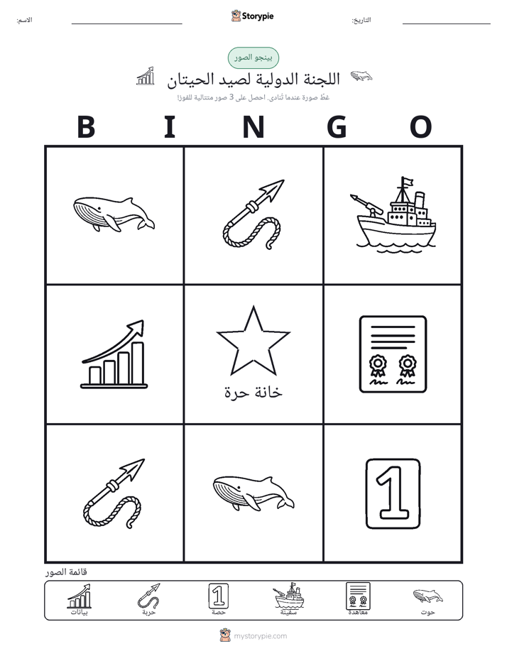 بينغو الصور