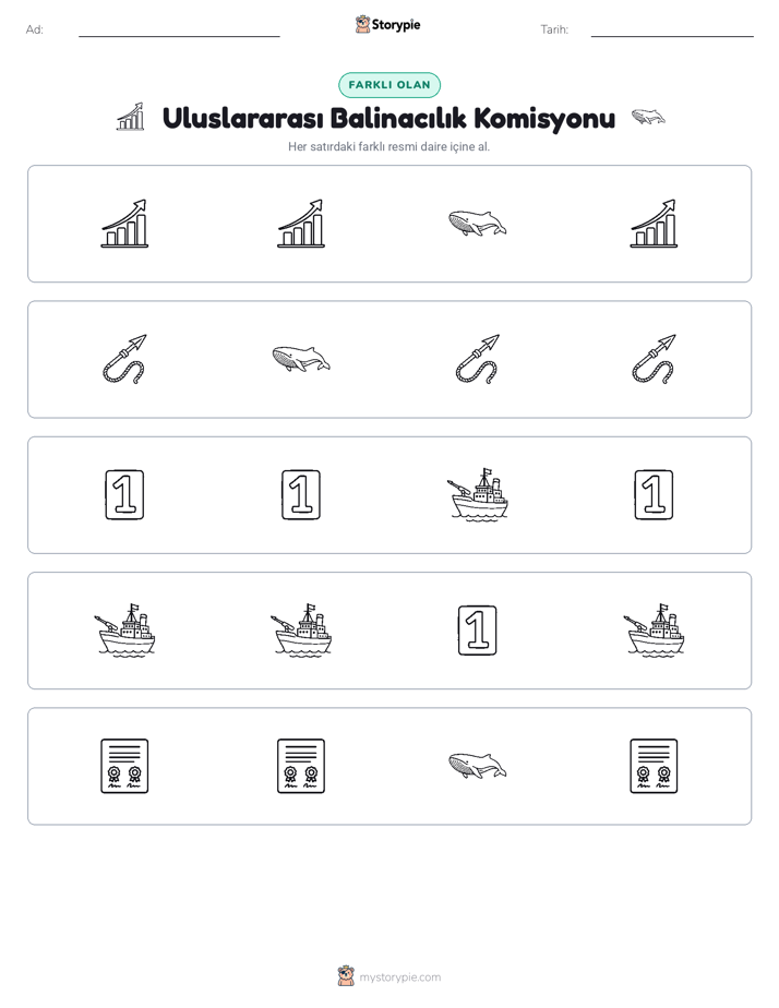 Farklı Olanı Bul
