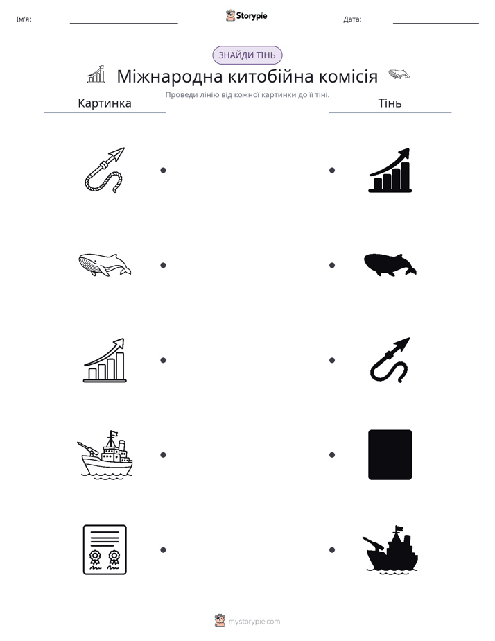 Тіньове Відповідність