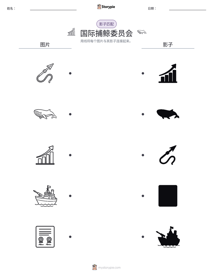 影子匹配