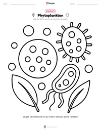 Phytoplankton druckbare Arbeitsblatt Vorschau
