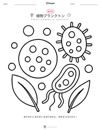 植物プランクトン の印刷可能ワークシートプレビュー