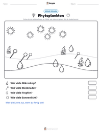 Phytoplankton druckbare Arbeitsblatt Vorschau