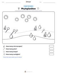 Phytoplankton printable worksheet preview