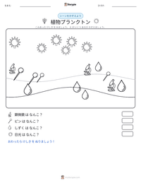 植物プランクトン の印刷可能ワークシートプレビュー
