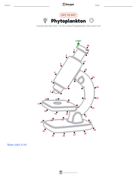 Phytoplankton printable worksheet preview