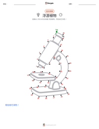 浮游植物 可打印工作表预览