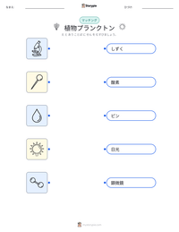 植物プランクトン の印刷可能ワークシートプレビュー