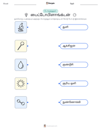 பைட்டோபிளாங்க்டன் அச்சிடக்கூடிய வேலைப்பதிவின் முன்னோட்டம்