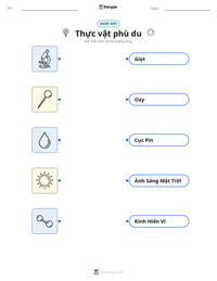 Xem trước tài liệu in sẵn Thực vật phù du