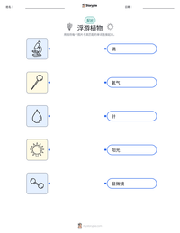 浮游植物 可打印工作表预览