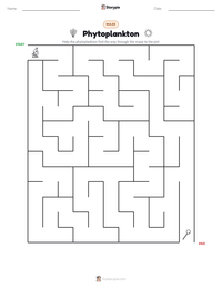 Phytoplankton printable worksheet preview