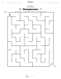 Aperçu de la feuille de travail imprimable Phytoplancton