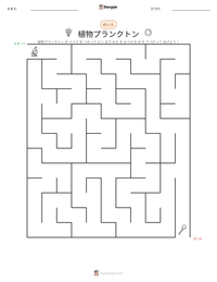 植物プランクトン の印刷可能ワークシートプレビュー