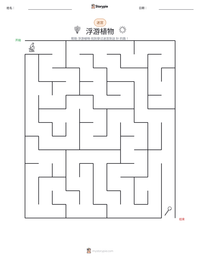 浮游植物 可打印工作表预览