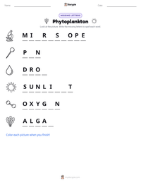 Phytoplankton printable worksheet preview
