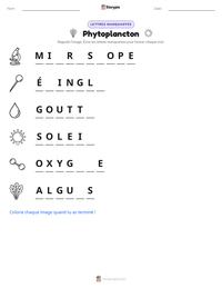 Aperçu de la feuille de travail imprimable Phytoplancton