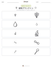植物プランクトン の印刷可能ワークシートプレビュー