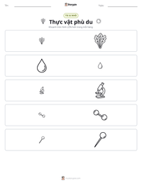 Xem trước tài liệu in sẵn Thực vật phù du