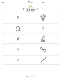 浮游植物 可打印工作表预览