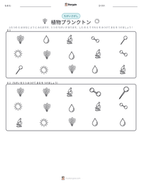 植物プランクトン の印刷可能ワークシートプレビュー
