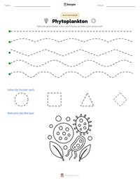 Phytoplankton druckbare Arbeitsblatt Vorschau