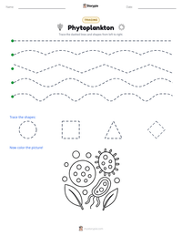 Phytoplankton printable worksheet preview