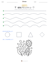 植物プランクトン の印刷可能ワークシートプレビュー