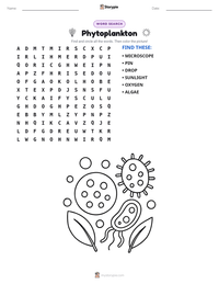 Phytoplankton printable worksheet preview