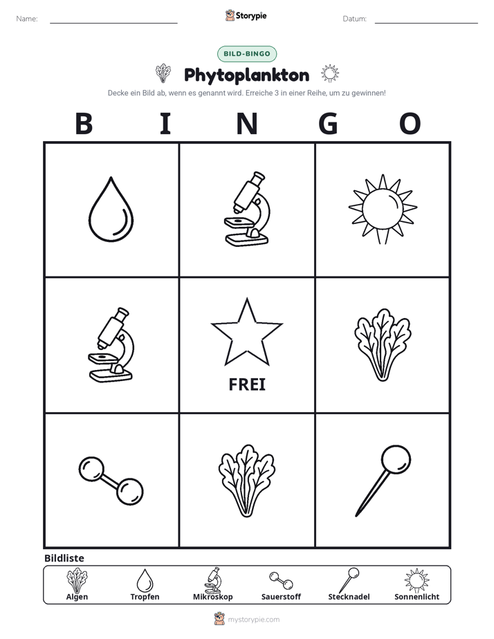 Bild-Bingo