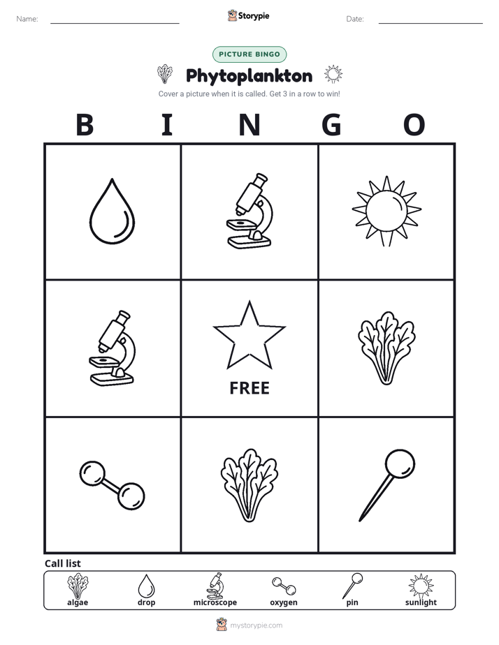 Picture Bingo