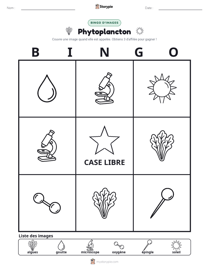 Bingo d'Images