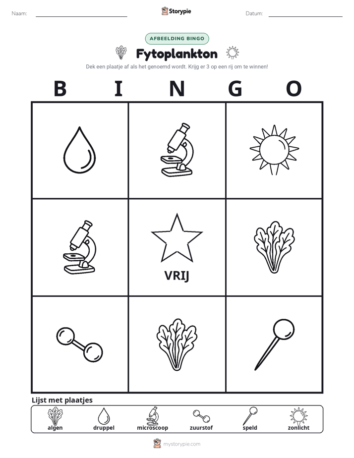 Afbeelding Bingo