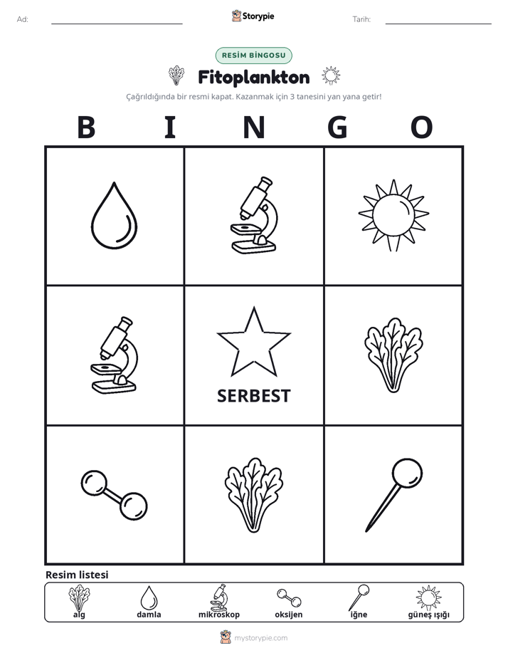 Resim Bingo